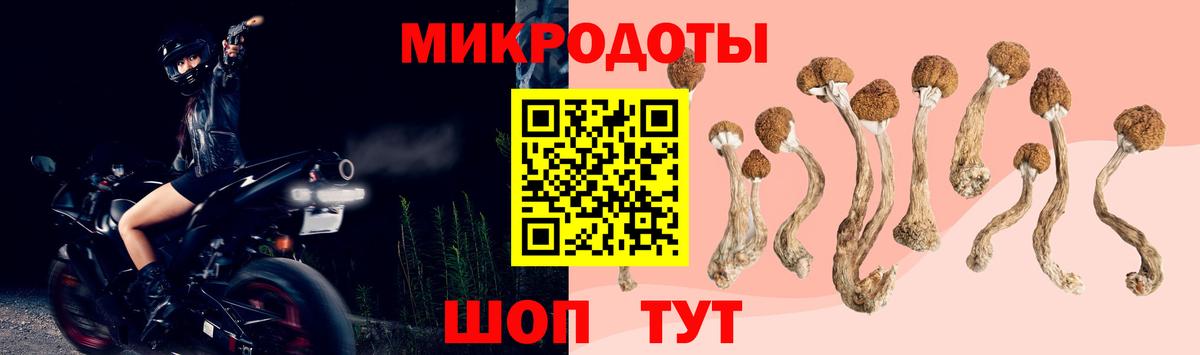 Псилоцибиновые грибы Cubensis Переславль-Залесский